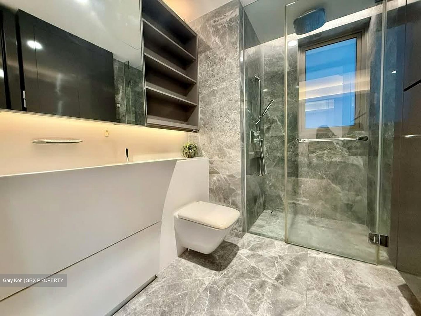Cairnhill Nine (D9), Apartment #598276571